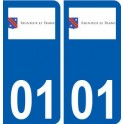 01 Rignieu-le-Franc logo ville autocollant plaque sticker