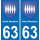 63 Saint-Nectaire escudo de armas de la etiqueta engomada de la placa de pegatinas de la ciudad