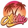 Aloha palmier couché de soleil dégradé couleur Hawaii sticker autocollant logo695