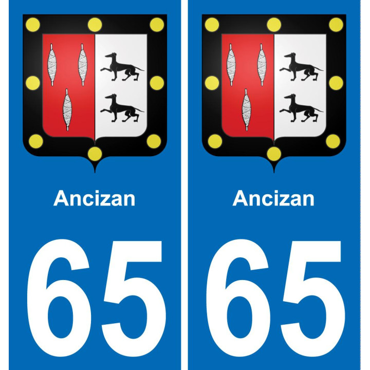 65 Ancizan sticker plate registration city