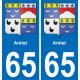 65 Antist autocollant sticker plaque immatriculation auto ville