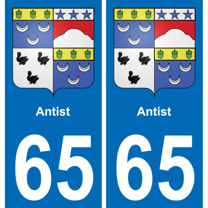 65 Antist placa etiqueta de registro de la ciudad