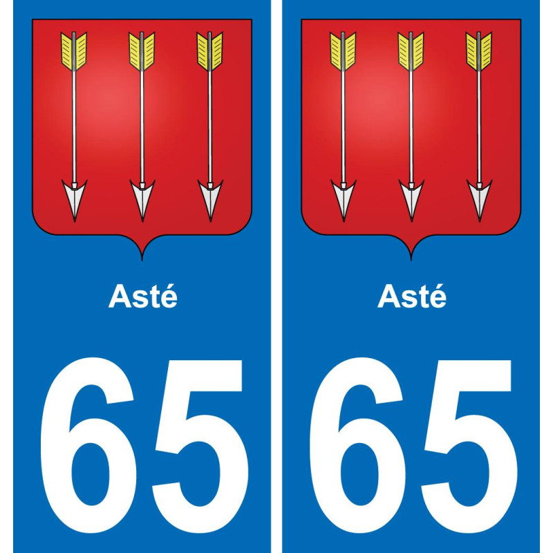 65 Asté-aufkleber plakette ez stadt