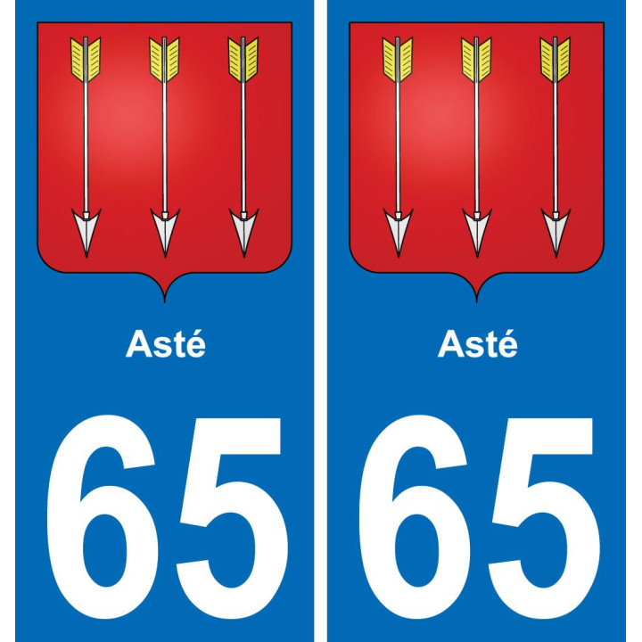 65 Asté-aufkleber plakette ez stadt