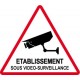 Autocollant Etablissement sous vidéo surveillance alarme