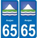 65 Avajan sticker plate registration city
