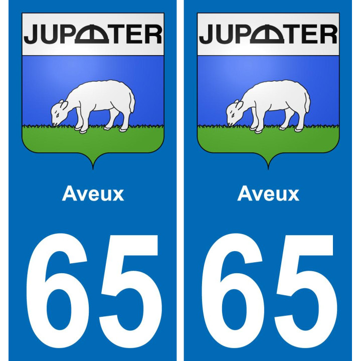 65 Aveux placa etiqueta de registro de la ciudad