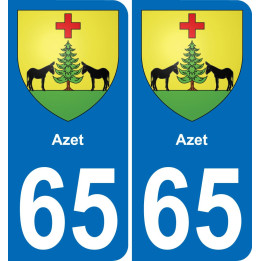 65 Azet placa etiqueta de registro de la ciudad