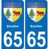 65 Bareilles adesivo piastra di registrazione city