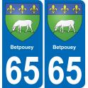 65 Betpouey sticker plate registration city