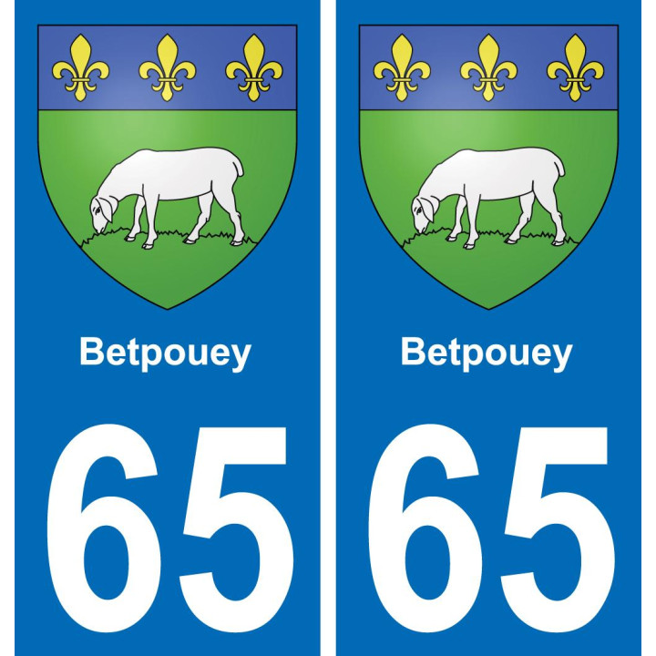 65 Betpouey sticker plate registration city