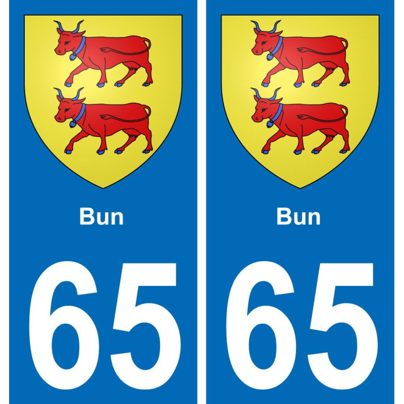 65 Bun placa etiqueta de registro de la ciudad