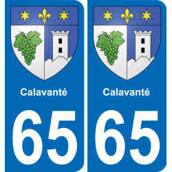 65 Calavanté placa etiqueta de registro de la ciudad