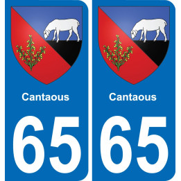 65 Cantaous placa etiqueta de registro de la ciudad