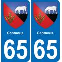 65 Cantaous autocollant sticker plaque immatriculation auto ville