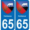 65 Cantaous placa etiqueta de registro de la ciudad