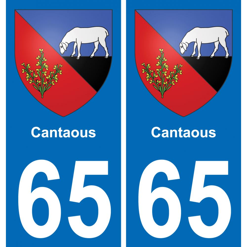 65 Cantaous placa etiqueta de registro de la ciudad