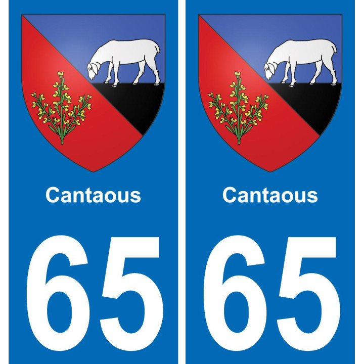 65 Cantaous sticker plate registration city