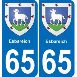 65 Esbareich placa etiqueta de registro de la ciudad