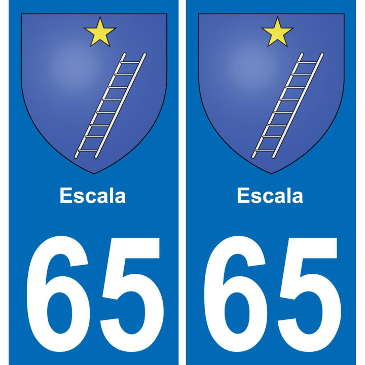 65 Escala sticker plate registration city