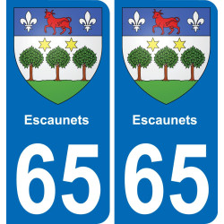 65 Escaunets placa etiqueta de registro de la ciudad
