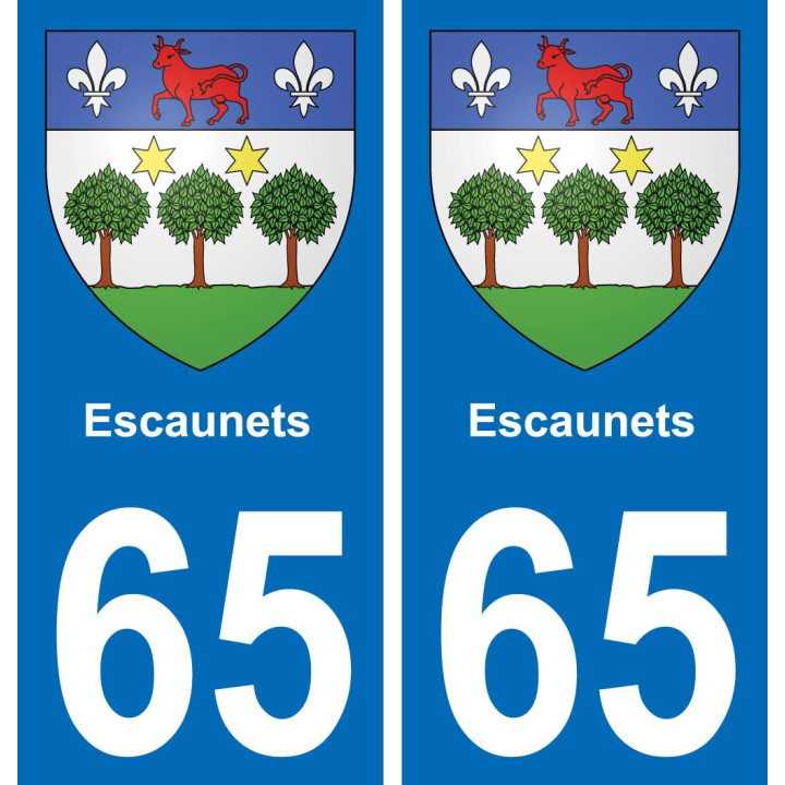 65 Escaunets placa etiqueta de registro de la ciudad