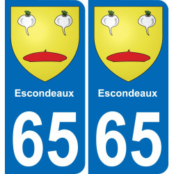 65 Pau placa etiqueta de registro de la ciudad