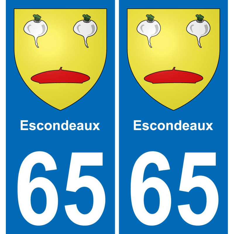 65 Pau-aufkleber plakette ez stadt
