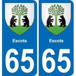65 Escots placa etiqueta de registro de la ciudad