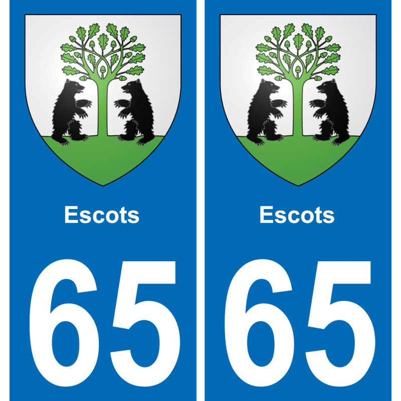 65 Escots placa etiqueta de registro de la ciudad