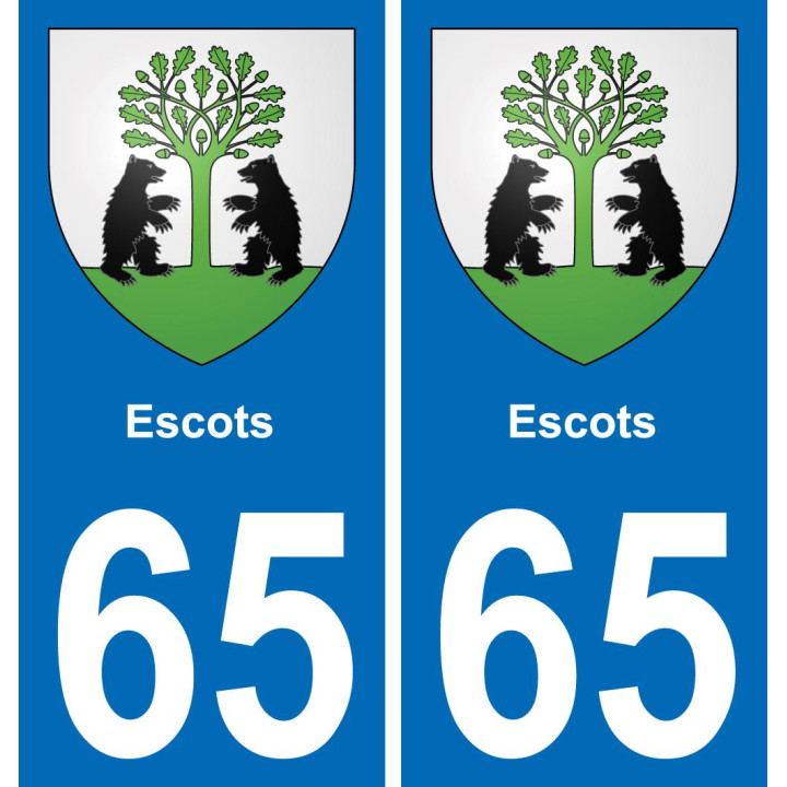 65 Escots placa etiqueta de registro de la ciudad