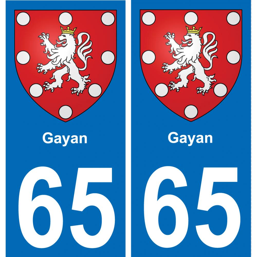 65 Gayan placa etiqueta de registro de la ciudad