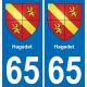 65 Pau autocollant sticker plaque immatriculation auto ville