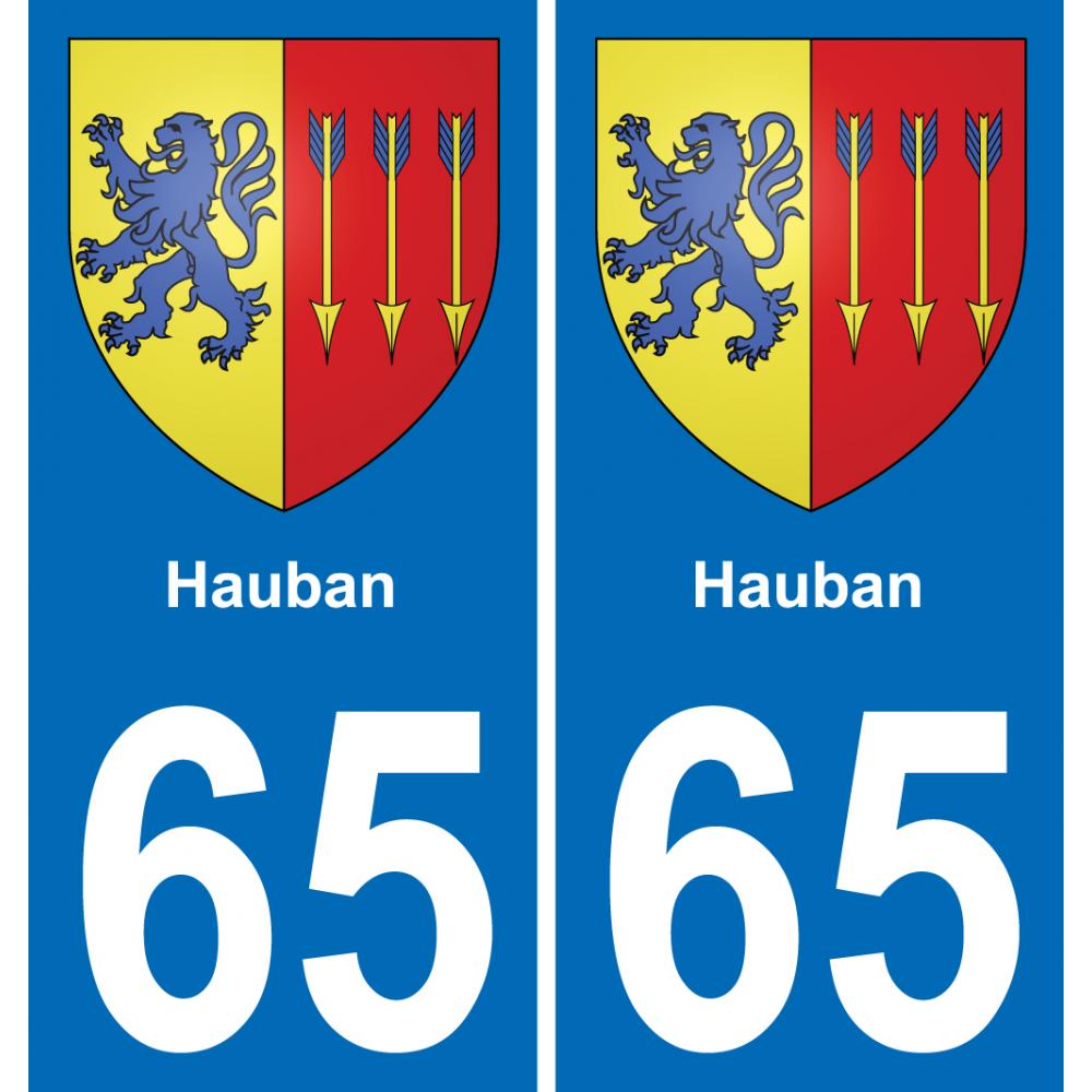 65 Pau autocollant sticker plaque immatriculation auto ville