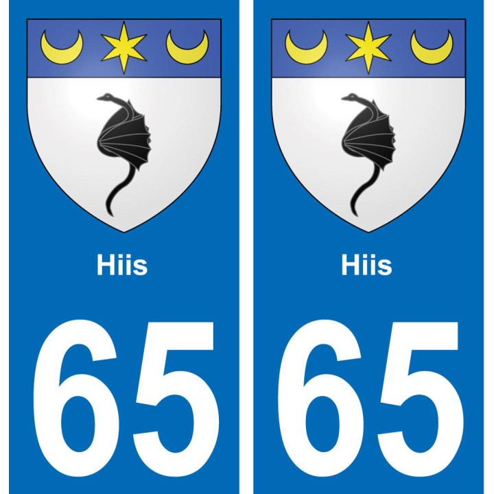 65 Hiis placa etiqueta de registro de la ciudad