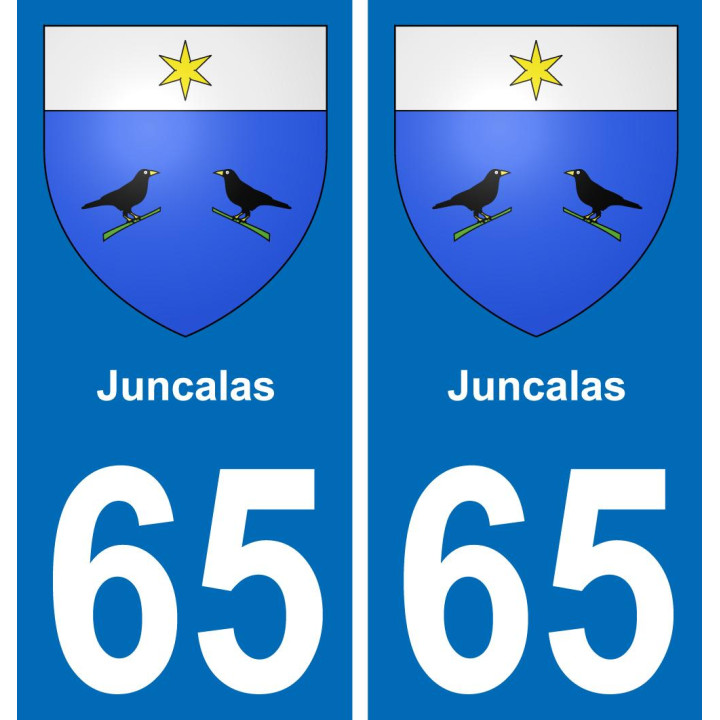 65 Juncalas placa etiqueta de registro de la ciudad
