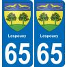 65 Lespouey placa etiqueta de registro de la ciudad
