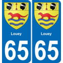 65 Louey placa etiqueta de registro de la ciudad