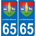 65 Luz-Saint-Sauveur adesivo piastra di registrazione city