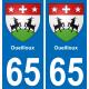 65 Pau autocollant sticker plaque immatriculation auto ville