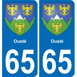 65 Ousté placa etiqueta de registro de la ciudad