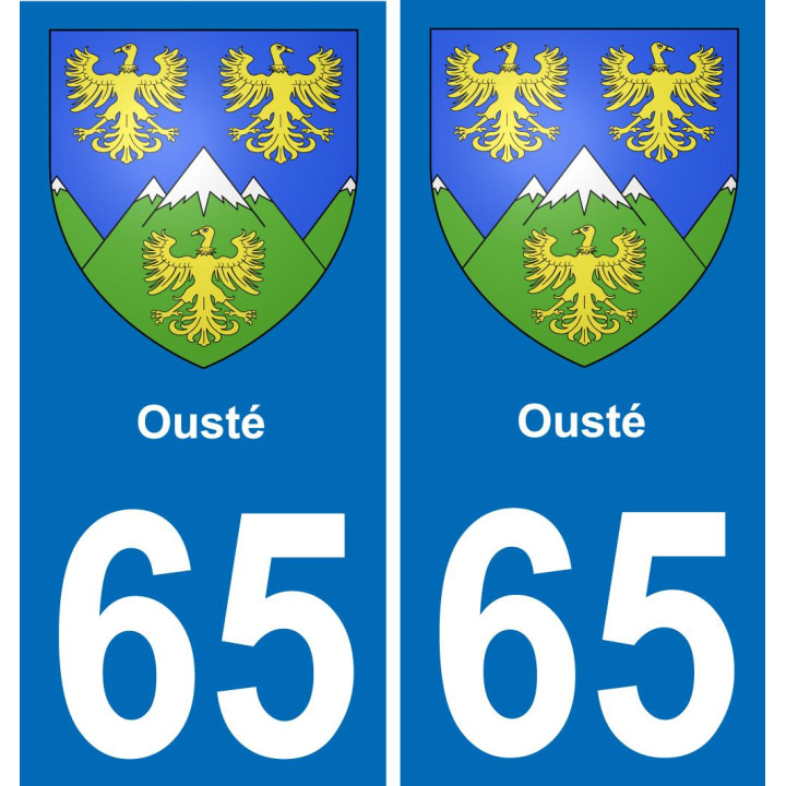 65 Ousté placa etiqueta de registro de la ciudad