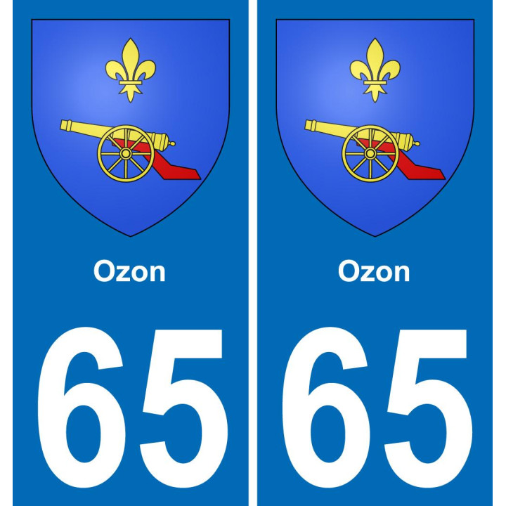 65 Ozon sticker plate registration city