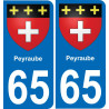 65 Peyraube sticker plate registration city