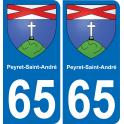 65 Pau autocollant sticker plaque immatriculation auto ville