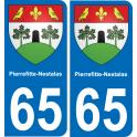 65 Pierrefitte-Nestalas adesivo piastra di registrazione city