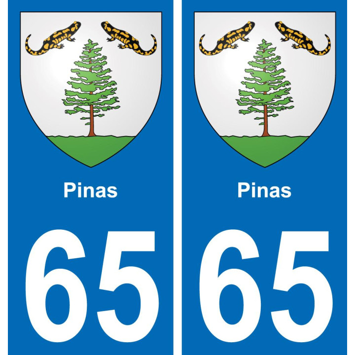 65 Pinas placa etiqueta de registro de la ciudad