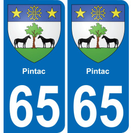 65 Pintac placa etiqueta de registro de la ciudad