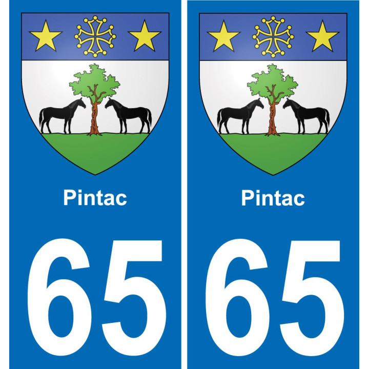 65 Pintac placa etiqueta de registro de la ciudad