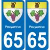 65 Pau autocollant sticker plaque immatriculation auto ville